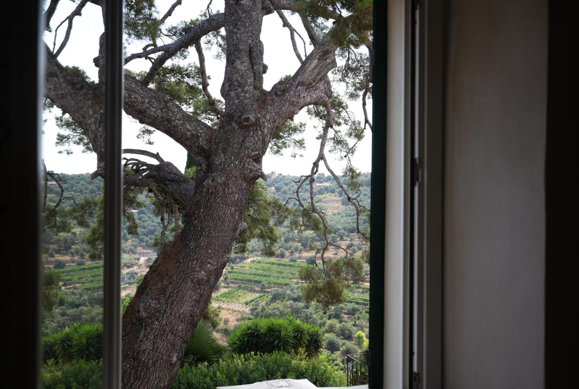 אימפריה Uliveto Saglietto Agriturismo A Poggi Apartments מראה חיצוני תמונה